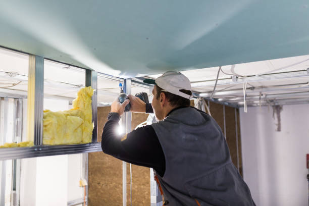 Best Insulation Replacement Services  in Haslett, MI