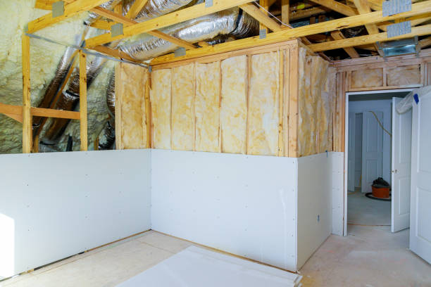 Best Insulation Contractor Near Me  in Haslett, MI