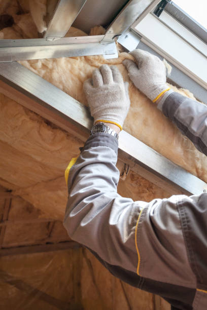 Best Residential Insulation Services  in Haslett, MI