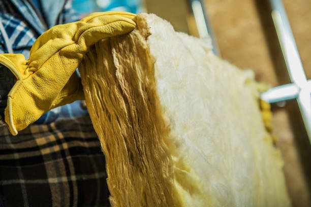 Best Insulation Removal Services  in Haslett, MI