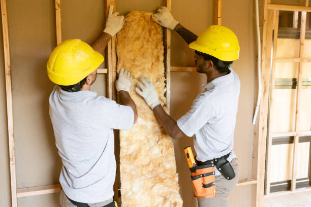 Best Crawl Space Insulation  in Haslett, MI